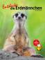 Preview: Entdecke die Erdmännchen